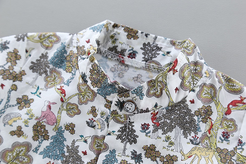 Toddler Boys' Shorts and Shirt in Print