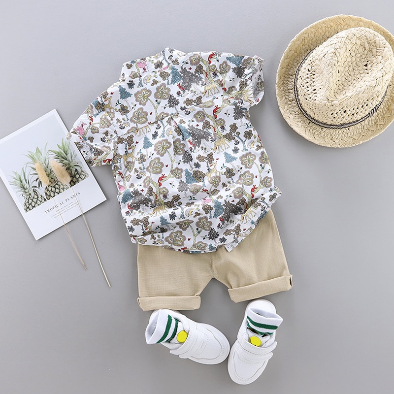 Toddler Boys' Shorts and Shirt in Print
