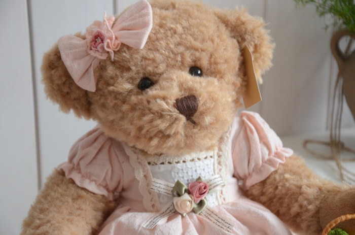 Plush Teddy Bear with Clothes Plush Teddy Bear with Clothes